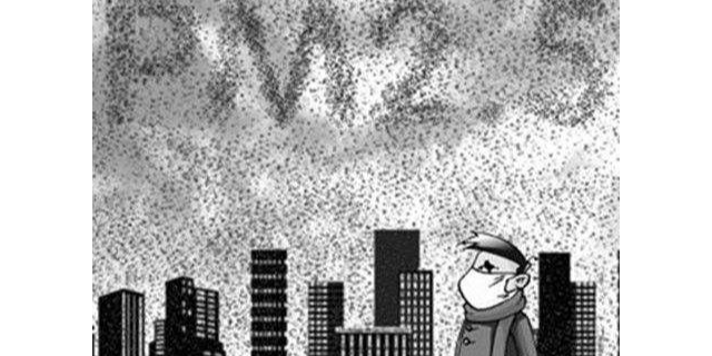 PM2.5——NCP的適宜載體，治理VOC我么一起努力——澳納森